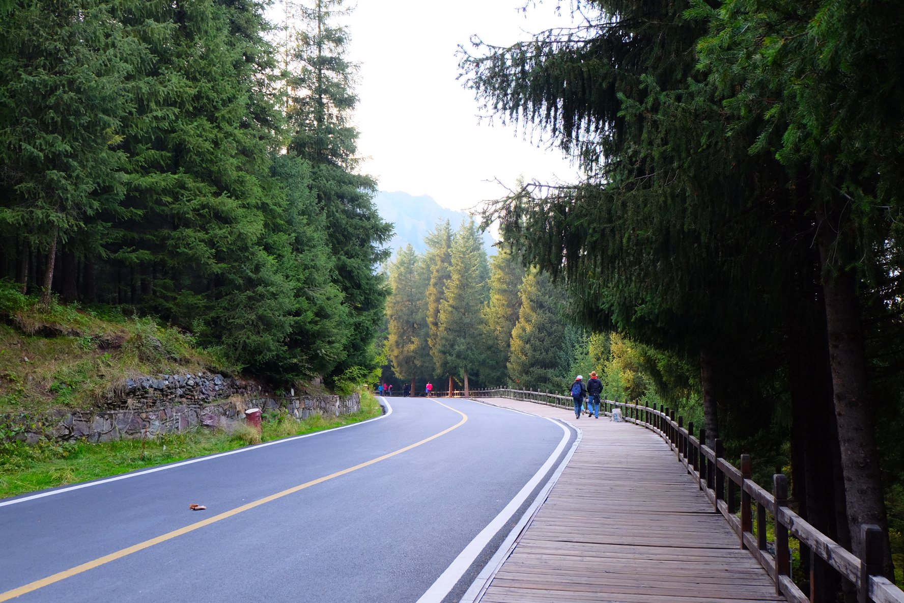 新疆伊犁14天旅行攻略,8天伊犁之旅