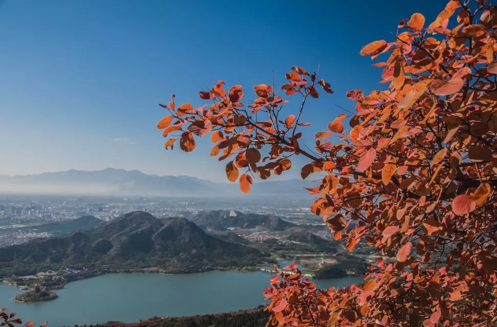 蟒山森林公园小东江,莽山森林公园萤火虫