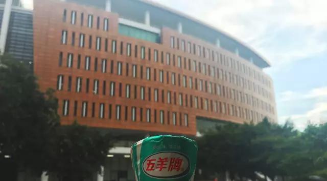 过一个“最广州”的六一丨你带着我,我带着五羊雪糕,大儿童环游