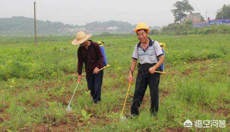 农达草甘磷是否可以与草胺磷混用,除草剂草铵膦与草甘膦有什么区别