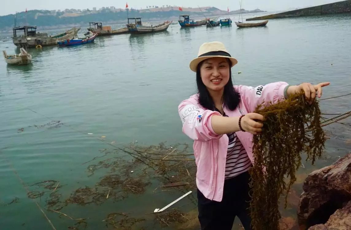 温州三八节免费景点,三八节好玩的地方温州