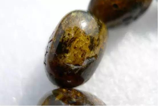 十大最恐怖的琥珀,琥珀造假大揭秘