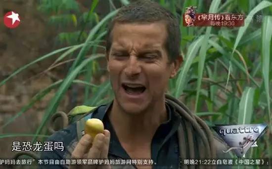 看魔兽视频,去看魔兽电影