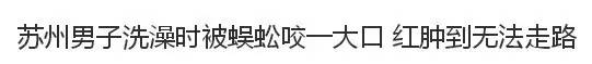 夏天到了，苏州人当心这些小虫，有人进了重症监护室，有人丧了命！