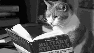 太美的承诺因为太年轻？不年轻啦！猴年马月本周日就到！