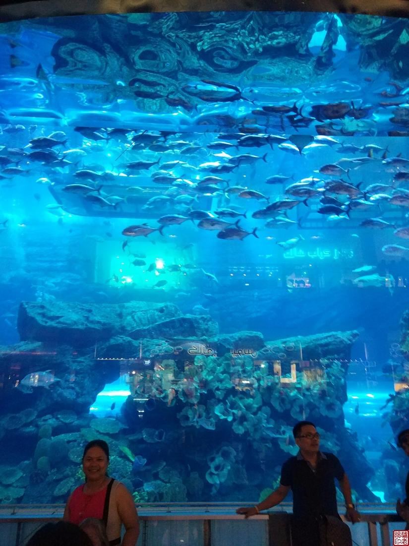 地球最高的一座大厦,迪拜最高大楼建造过程