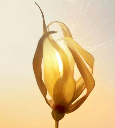 dior迪奥真我,迪奥真我dior