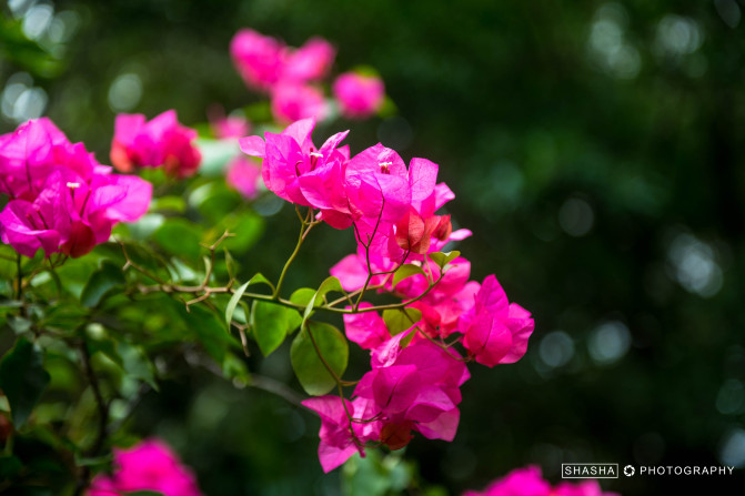 轻妆出行心仪广西,玩转神秘的桂西南