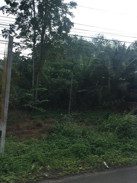 甯︾潃鐗涢瓟鐜嬬湅鏄熸槦,甯︾潃鐗涢瓟鐜嬪嚭鏉ョ湅涓婂笣