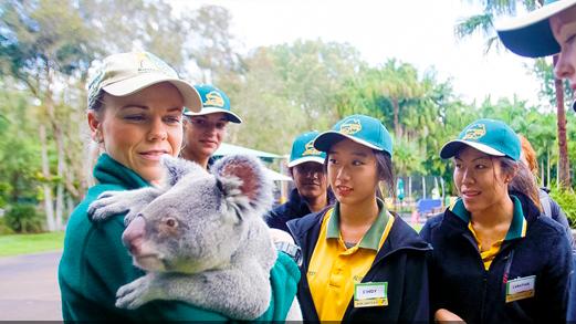 新东方国际游学15日游,新东方国际游学报价
