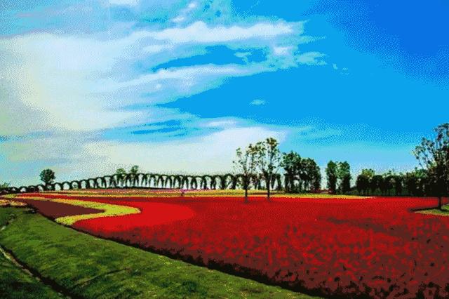 迪士尼1号线,上海迪士尼快线3号线路