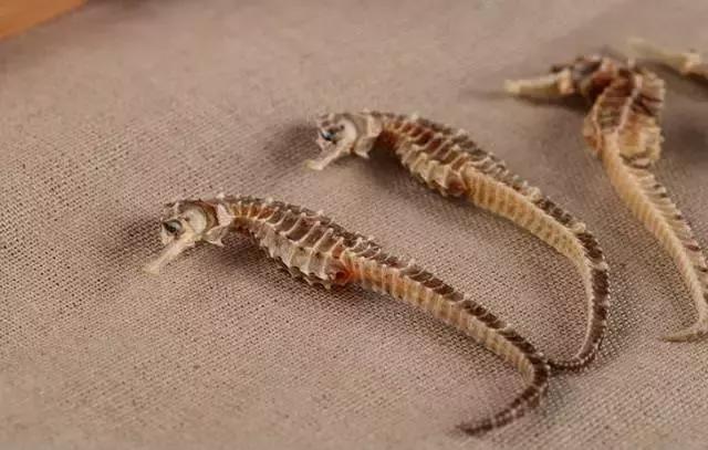 补肾气丸最好的一味中药,冬天可以吃的补肾的丸药