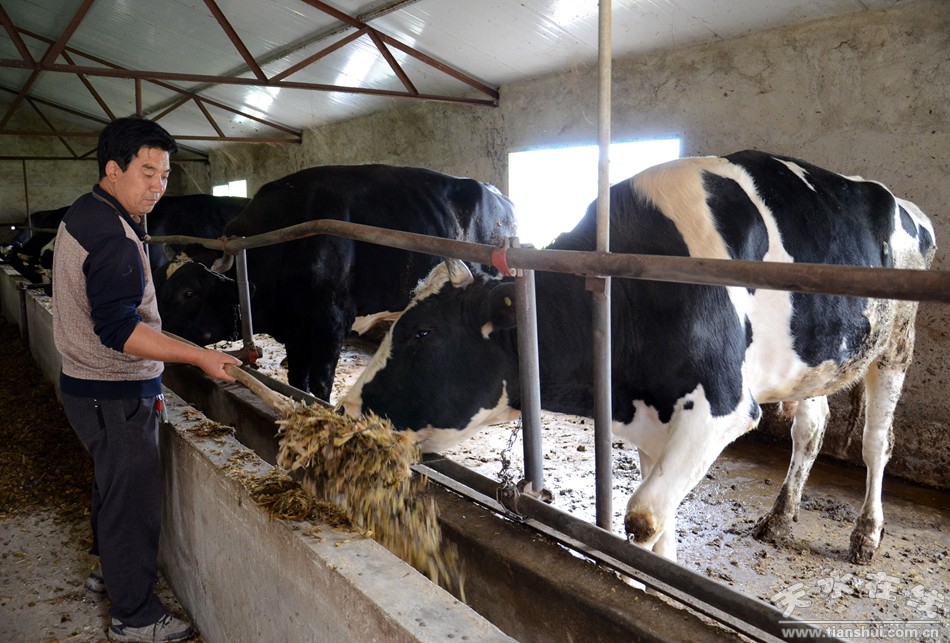 天水市最美乡村谢沟村,天水市麦积区最美村庄