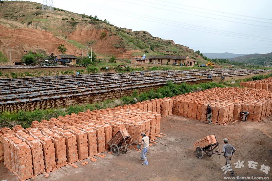 天水市最美乡村谢沟村,天水市麦积区最美村庄