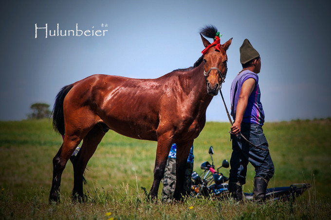 呼伦贝尔拍照攻略,呼伦贝尔美景拍照