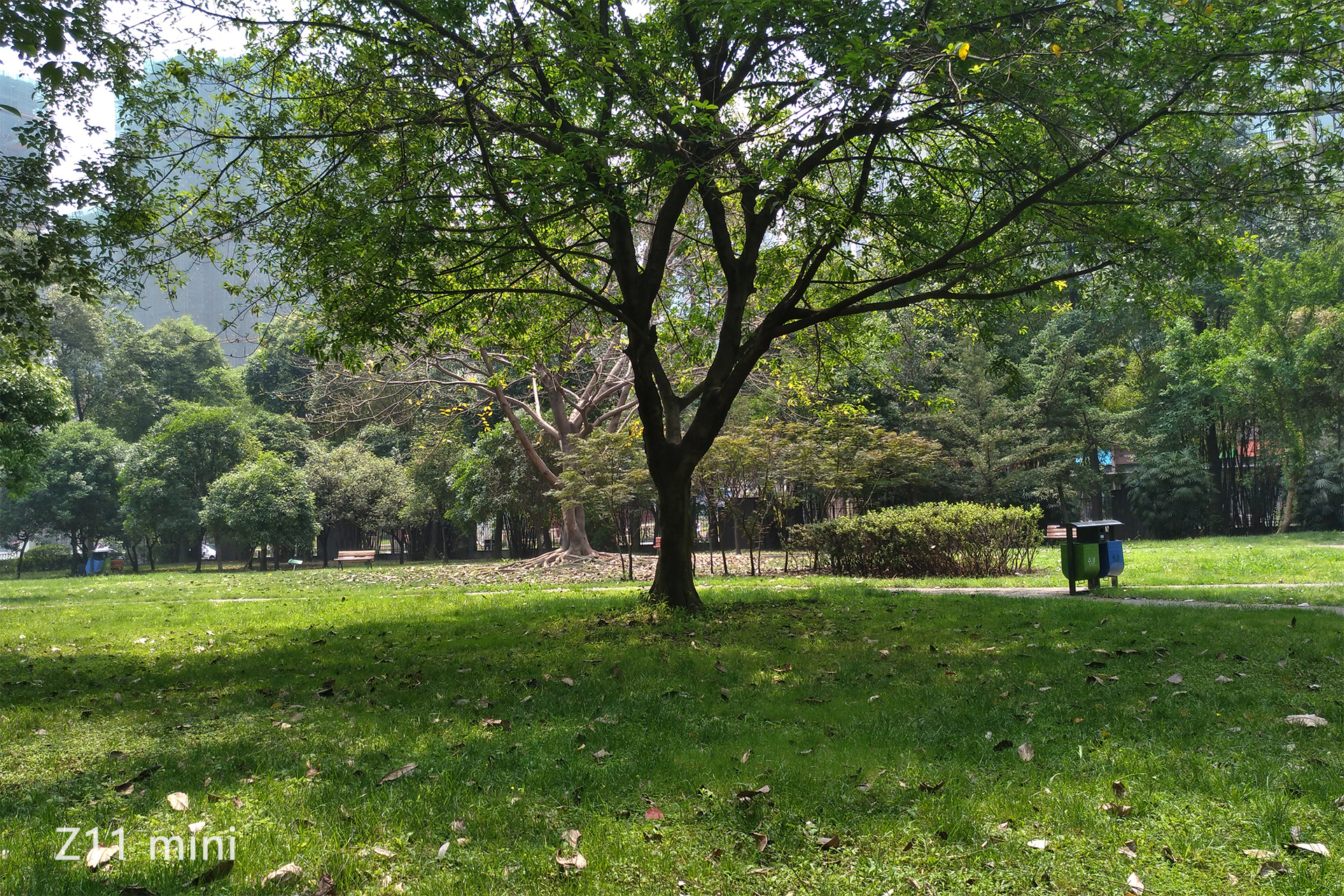 努比亚z11minis游戏测试,努比亚z11minis换电池