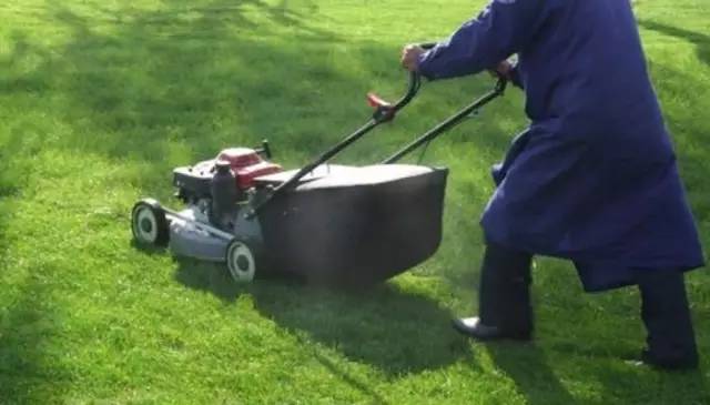 二冲程发动机为啥烧机油,二冲程发动机为什么要烧机油