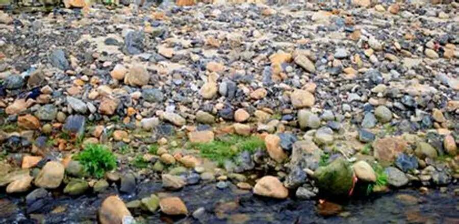 月白风清春华秋实,满仓和静梅爱情