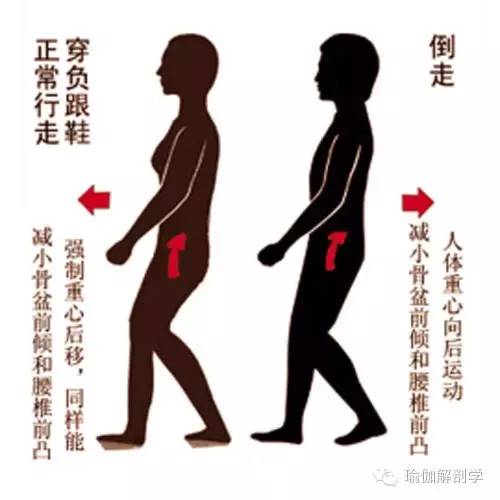 散步时怎么锻炼腰部力量,晚上散步会增加骨密度吗