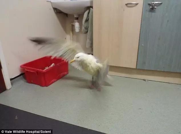 实况足球2016一球成名修改,2016欧洲杯夺冠历程