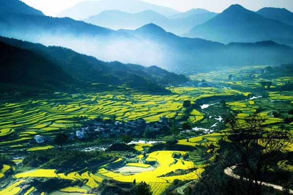 什么叫生态农业,生态农业其实离我们很远