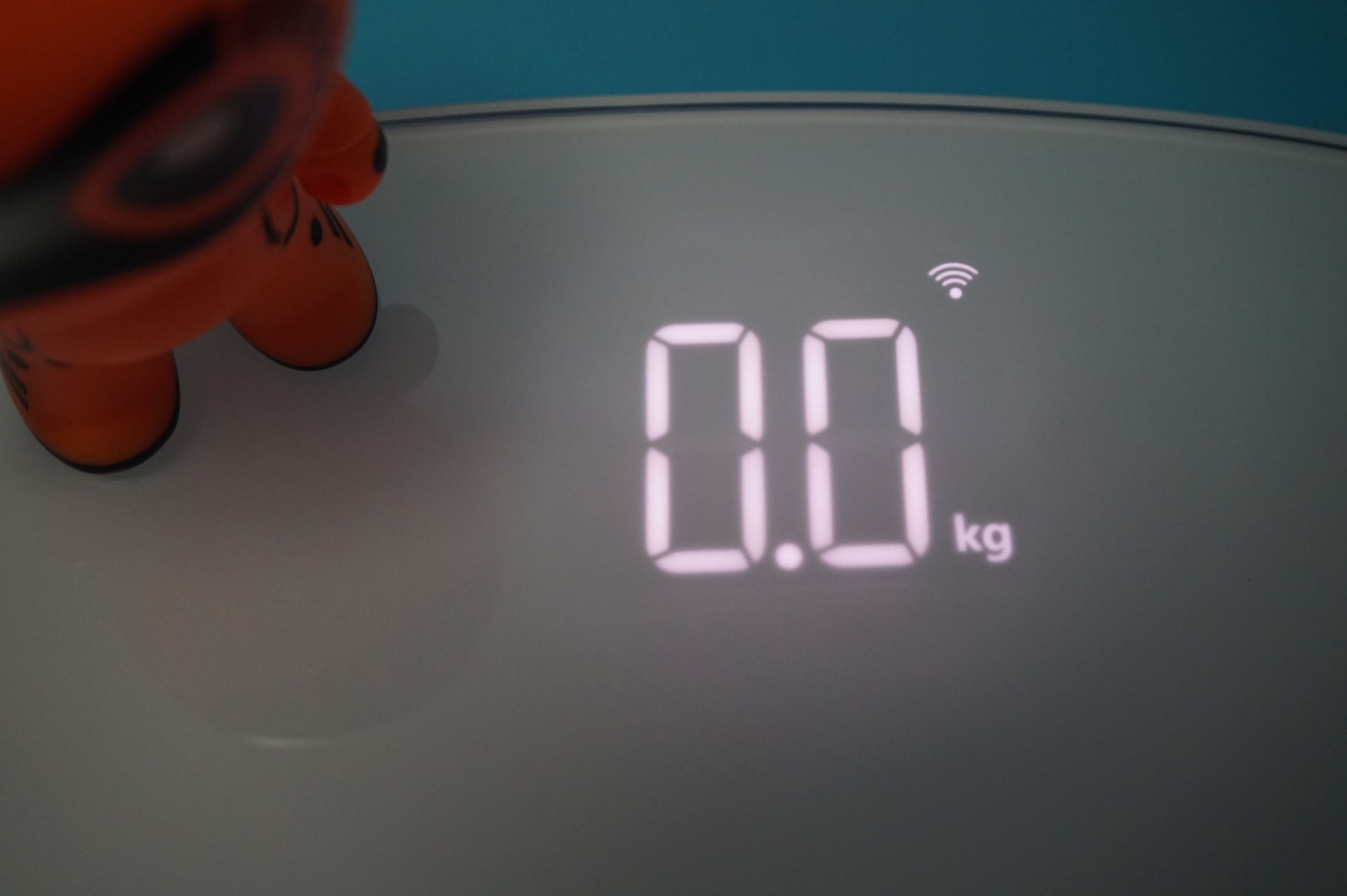 小小的身材称起大大的我-乐心3S电子体重秤实测记录