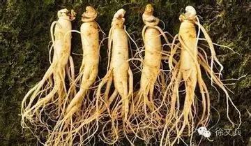 字里藏医视频,藏医治疗腰痛的脐疗法