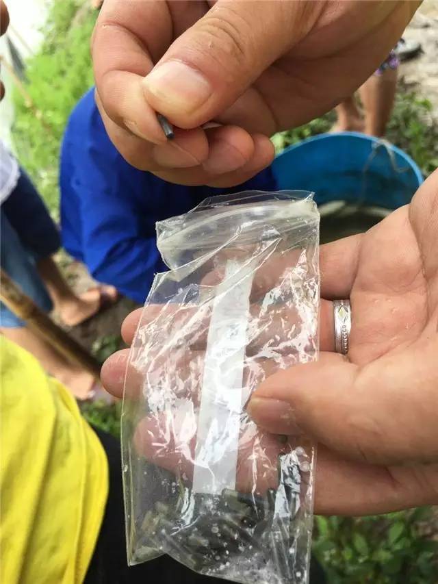 从种苗到流通，海大欲建价值链优势雄霸惠州市场