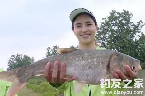 水库抛竿钓鲢鳙技巧,抛竿钓鲢鳙用多大的线