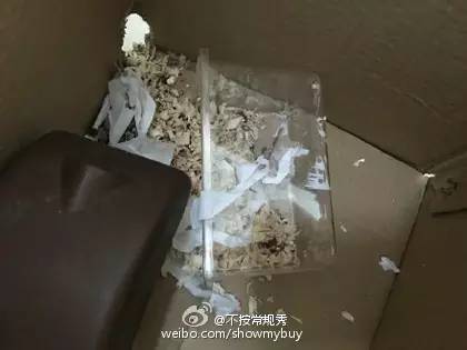 有没有出现过猴年马月,以后是不是真的就有猴年马月了