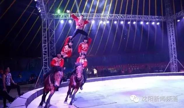 沈阳好玩的地方夏天推荐,沈阳夏天旅游推荐