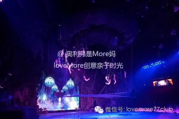 一日游广州长隆野生动物园攻略,广州长隆野生动物园自由行攻略