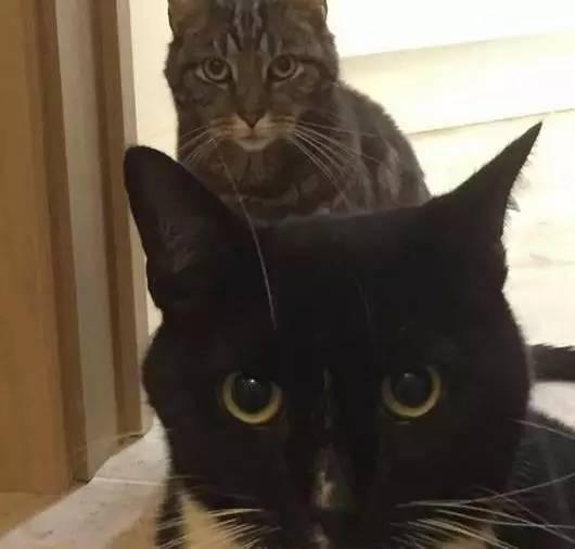 姑娘被凌辱之后分享整个过程和故事