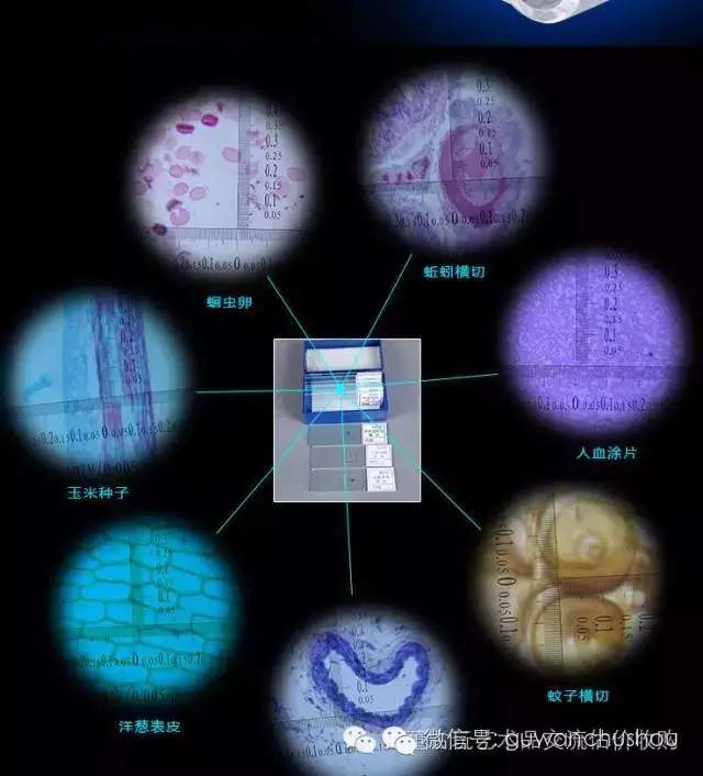 10000高倍放大显微镜价格二手,专家同款的鉴定显微镜