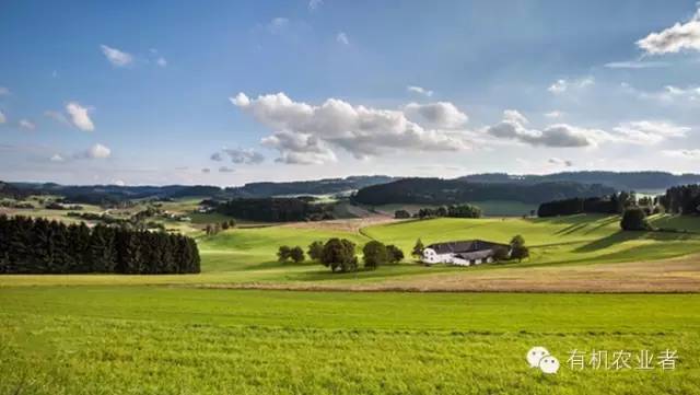 曾经结伴同行,曾经一起走过的路图片