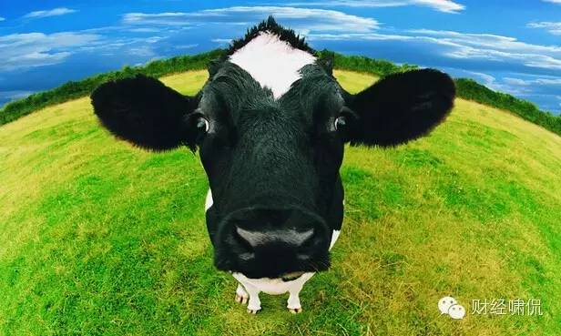 中鼎牧业最新的消息,中鼎牧业目标价