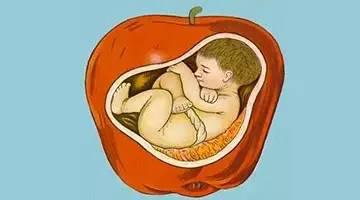 准妈妈必备100个技能,怀孕初期注意事项准妈妈看过来