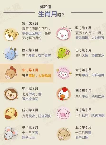 大家都在等的这个日子终于来啦!千万别错过,下次要等到2028年