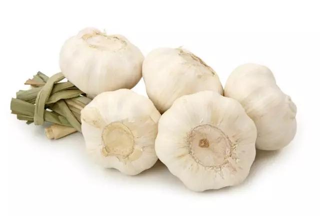 吃鱼翅等于吃猪蹄？原来昂贵的补品还不如这些食物！