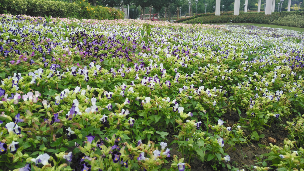 斐讯产品推荐,斐讯全网最新评测