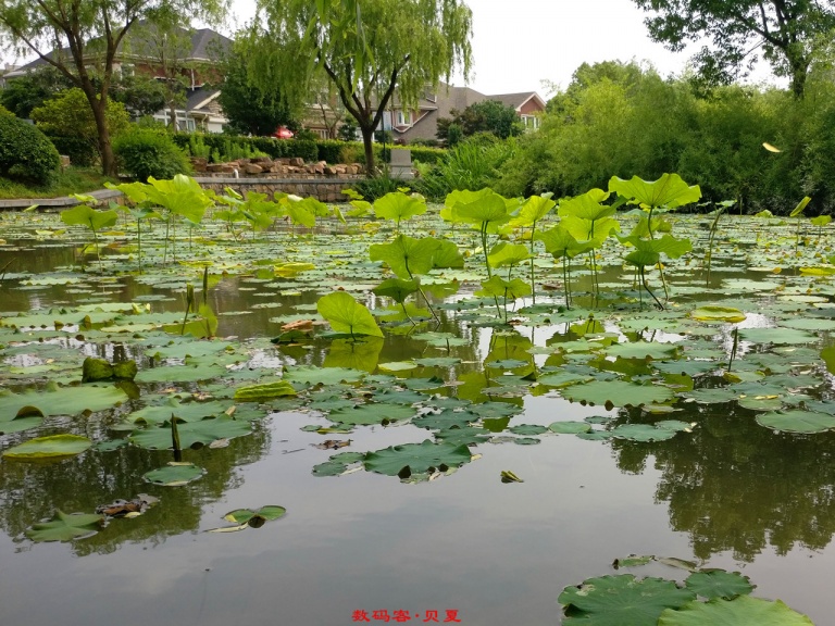 一加3实用功能,一加3手机用后体验