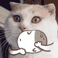 很火的动态小猫表情包,喵喵喵表情包动态