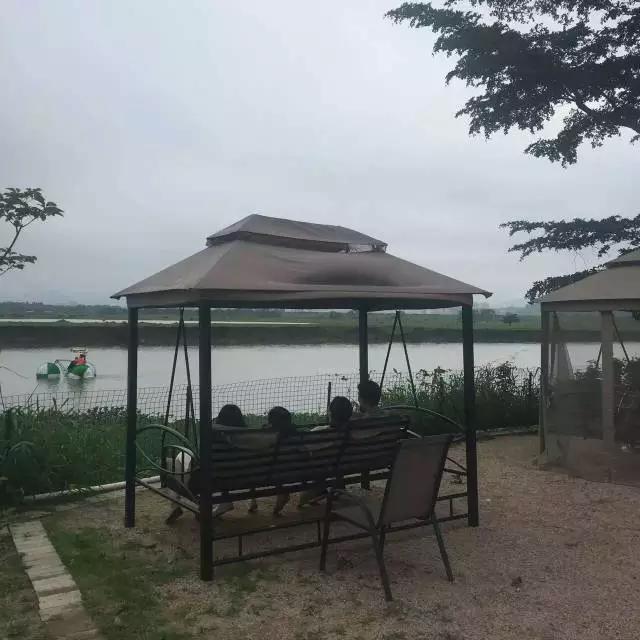 迎接父亲节：紫溪半岛的2000株紫薇花竞相绽放！限时免费欣赏