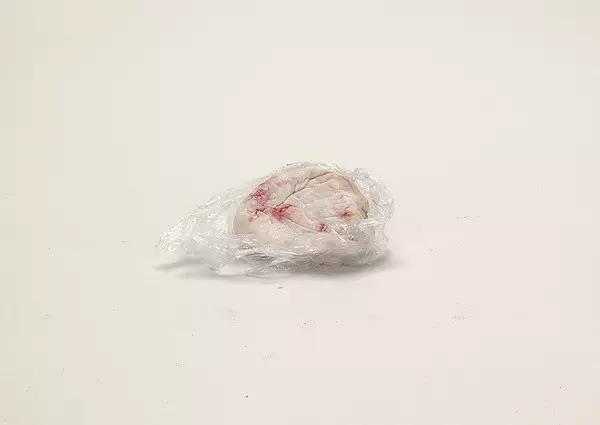 海关上的奇葩物件,海关禁品