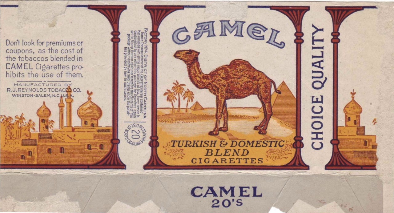 白金龙与阿诗玛,白金龙凤锦鲤生鱼宝宝