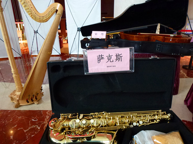 西洋乐器视频素材,西洋乐器局部高清图