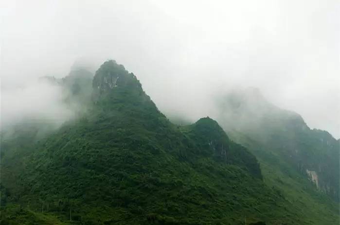 巴马世界旅居圣地,广西巴马长寿圣殿图片
