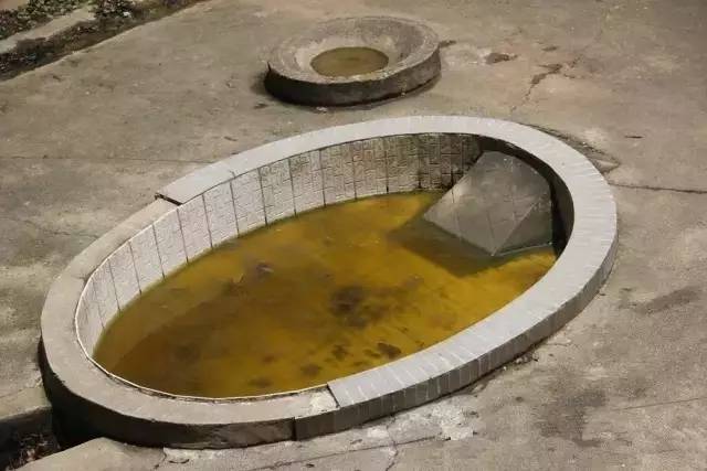 马鞍山雨山湖野生动物园,马鞍山雨山湖动物园白虎