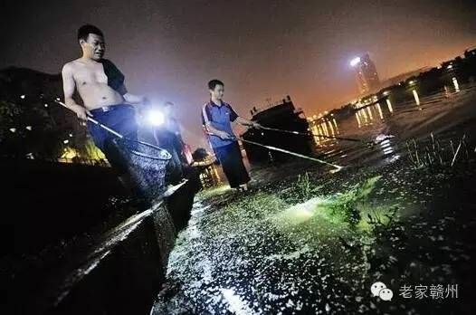 客家人捕鱼的视频,客家传统打鱼视频