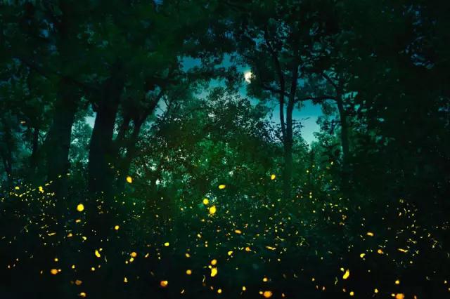 有生之年一定要去一次泰国,有生之年一定要去一次的景区